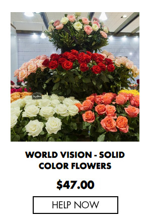 World Vision