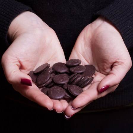 best organic dark chocolate from ecuador