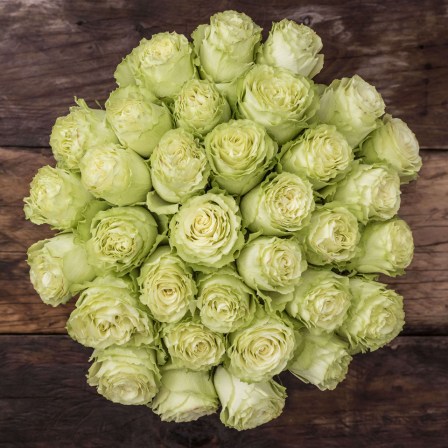 long stem roses from ecuador