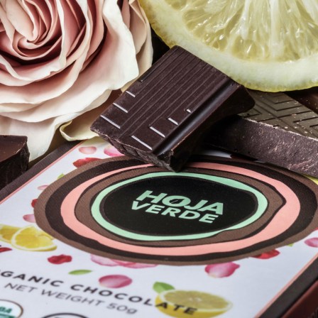 best organic dark chocolate from ecuador
