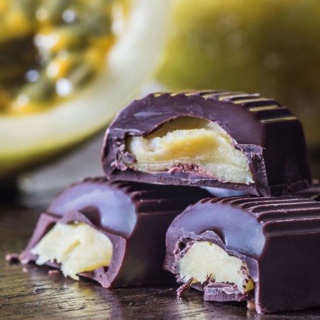 best organic dark chocolate from ecuador