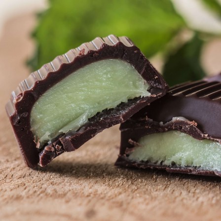 best organic dark chocolate from ecuador
