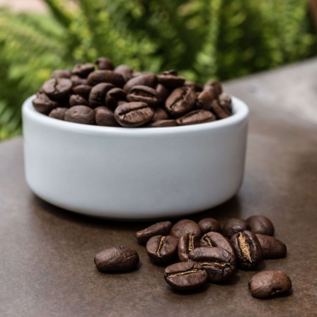 gourmet coffee