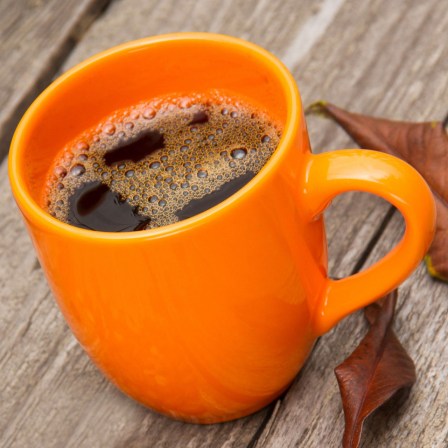 gourmet coffee