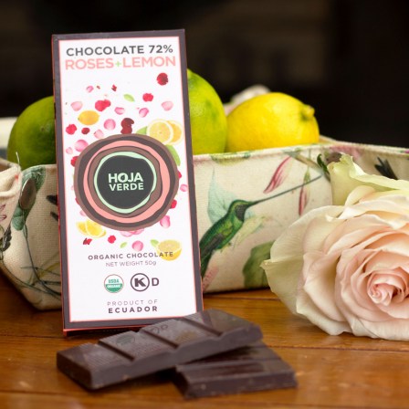 best organic dark chocolate from ecuador