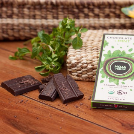 best organic dark chocolate from ecuador