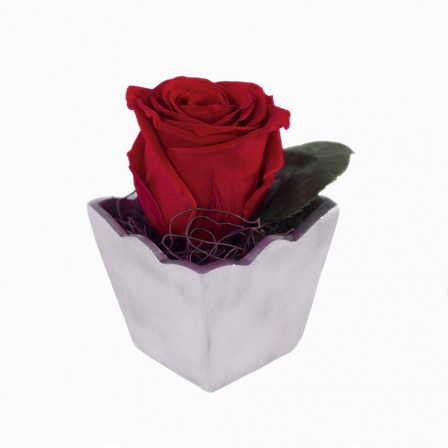 003_red_vases_peltre