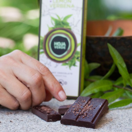 best organic dark chocolate from ecuador