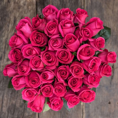 long stem roses from ecuador