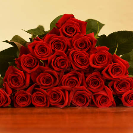 Finally Roses - Bulk Order- 50-60CM